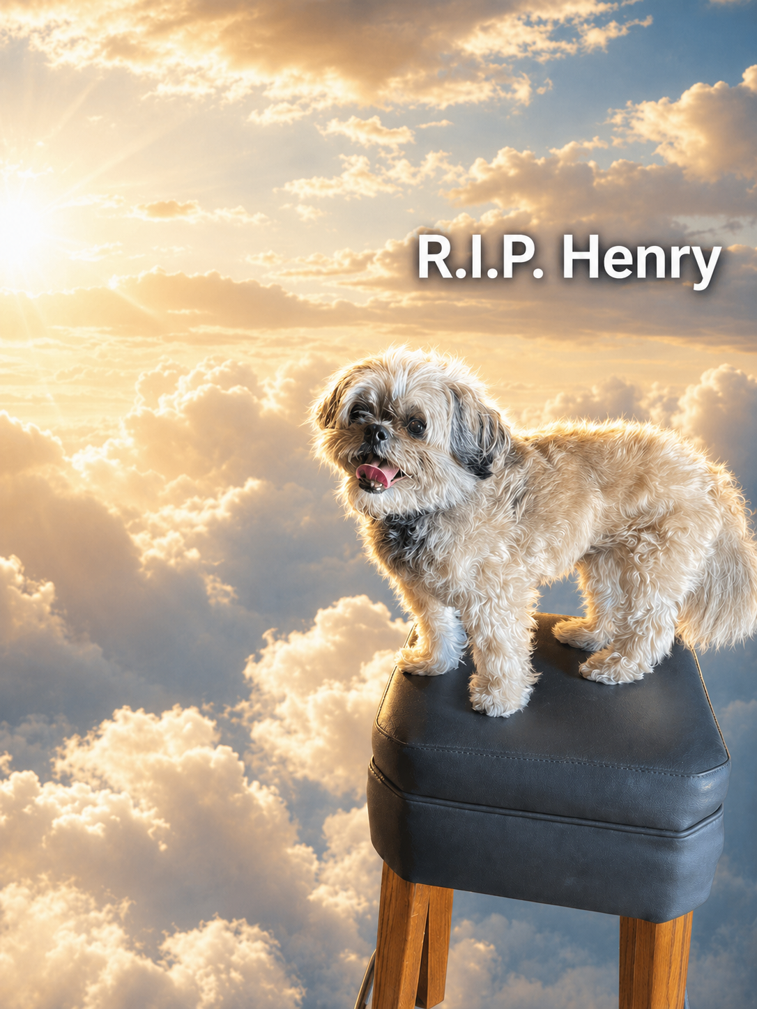 henry